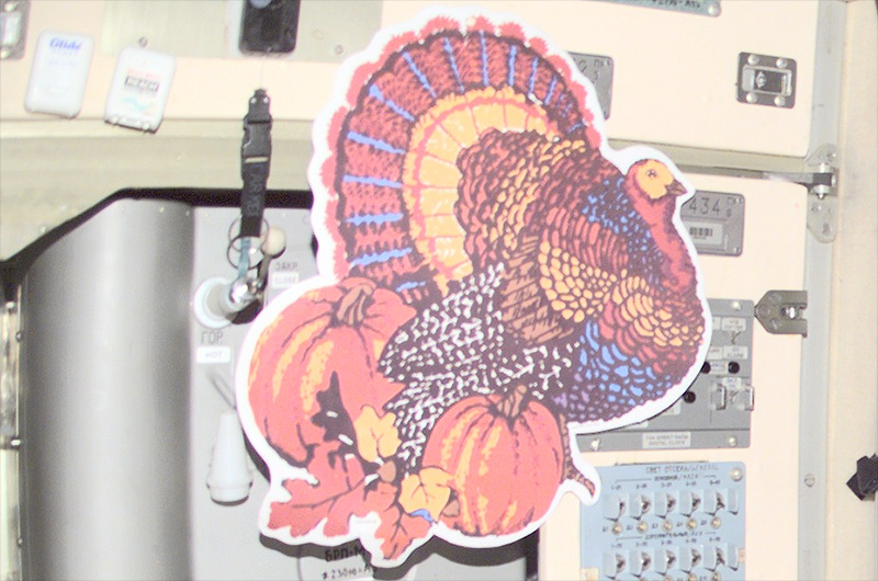 A Brief History of Thanksgiving Turkey in Space